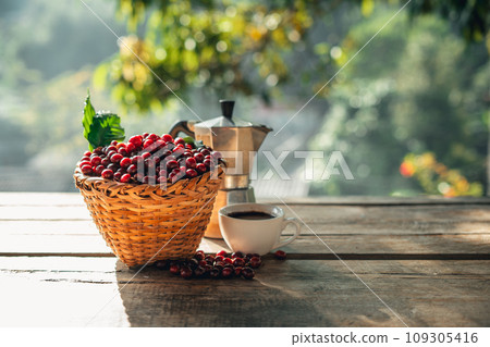 Coffee cherry beans in a basket placed on a wooden table 109305416