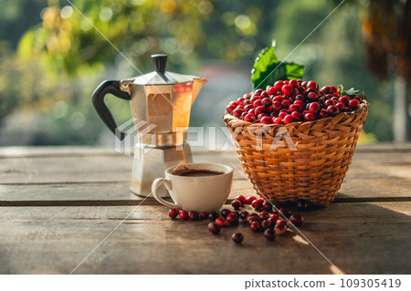 Coffee cherry beans in a basket placed on a wooden table 109305419