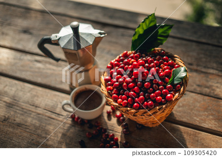 Coffee cherry beans in a basket placed on a wooden table 109305420