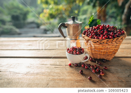 Coffee cherry beans in a basket placed on a wooden table 109305423