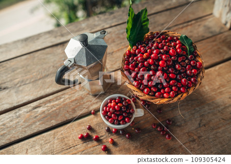 Coffee cherry beans in a basket placed on a wooden table 109305424