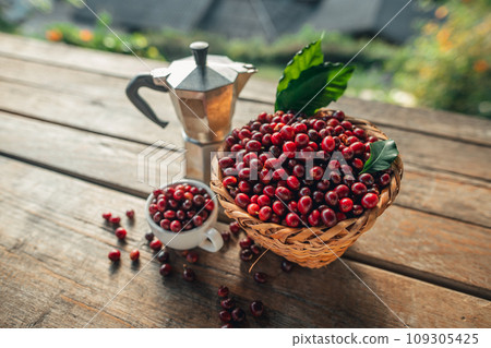 Coffee cherry beans in a basket placed on a wooden table 109305425