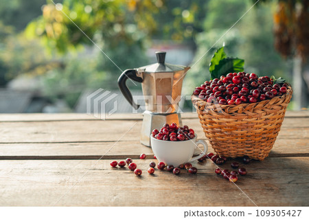 Coffee cherry beans in a basket placed on a wooden table 109305427