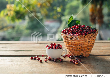 Coffee cherry beans in a basket placed on a wooden table 109305428