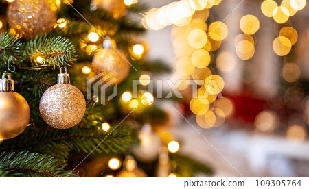 Landscape with Christmas tree Landscape with Christmas tree 109305764