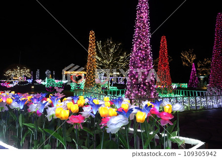 Christmas illumination/Florante Miyazaki Christmas illumination/Florante Miyazaki 109305942