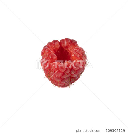 Isolated berry. One fresh raspberry fruit isolated on white background Isolated berry. One fresh raspberry fruit isolated on white background 109306129
