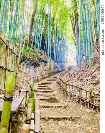 Hiyodori-zaka, a historic hill that looks like a samurai 109306845