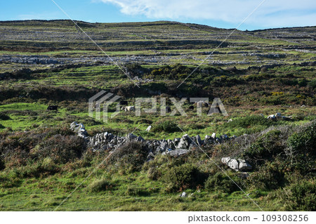 Landscape of Inishmore, Ireland 109308256