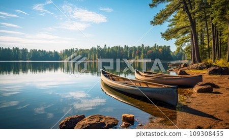 Canoes parked on a lake with spectacular forest landscape 109308455