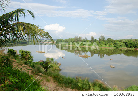 Netravati River at Thumbe in Mangalore, India 109308953