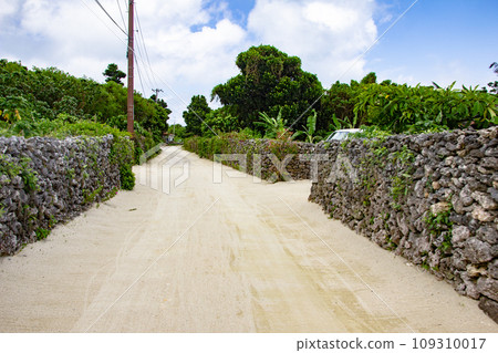 Village of Taketomi-jima Island, Okinawa 109310017