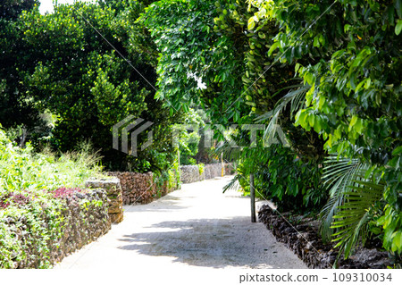 White road on Taketomi Island, Okinawa Prefecture White road on Taketomi Island, Okinawa Prefecture 109310034