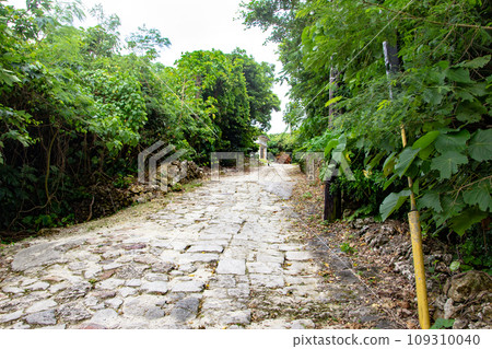 Slope of Taketomi Island, Okinawa Prefecture Slope of Taketomi Island, Okinawa Prefecture 109310040