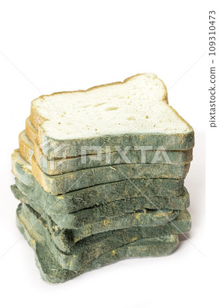 Fungal bread isolated on white background. Biodegradable food waste concept. Fungal bread isolated on white background. Biodegradable food waste concept. 109310473