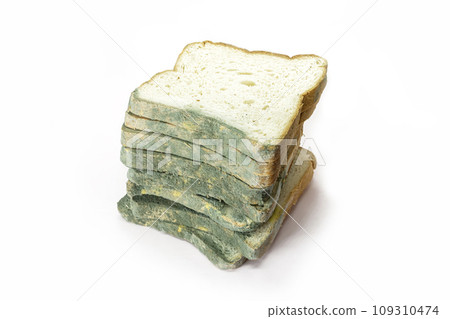 Fungal bread isolated on white background. Biodegradable food waste concept. 109310474