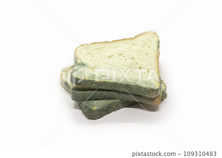 Food waste concept. Fungal bread isolated on white background. 109310483
