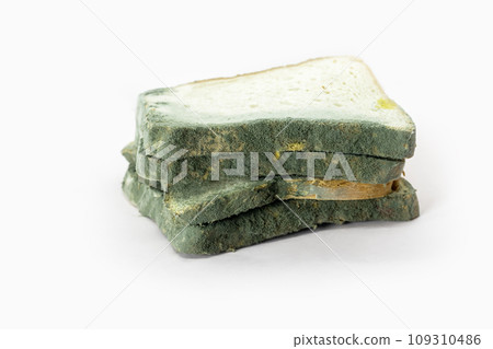 Fungal bread isolated on white background. Biodegradable food waste concept. 109310486