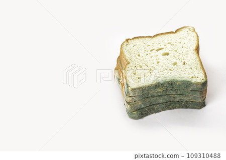 Fungal bread isolated on white background. Biodegradable food waste concept. 109310488