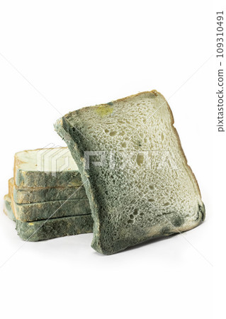 Fungal bread isolated on white background. Biodegradable food waste concept. 109310491