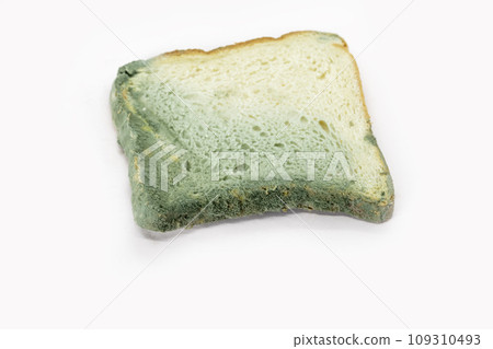 A piece of Moldy bread isolated on white background. Top view 109310493