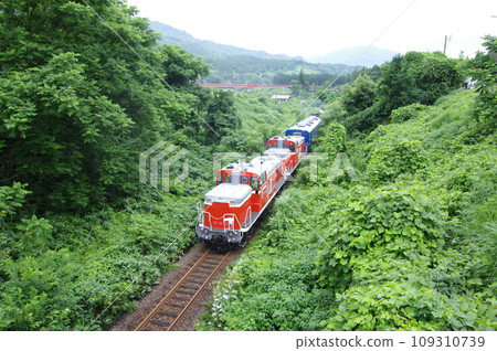 磐越西線三河SL附近試運行DE10系列 109310739