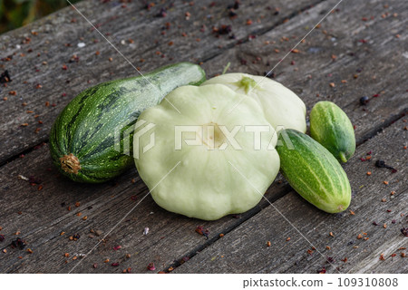Zucchini, two pattypan squash and cucumbers harvested from garden beds Zucchini, two pattypan squash and cucumbers harvested from garden beds 109310808
