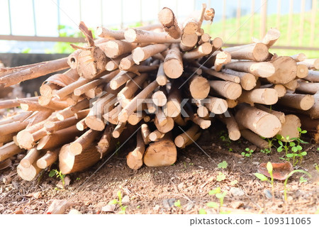 收集木柴並堆放營火 109311065