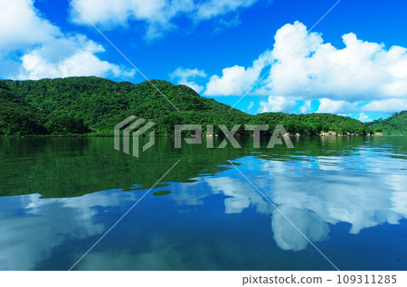 Summer sky and white clouds reflected in Nakagawa River, Iriomote Island, Okinawa Prefecture 109311285
