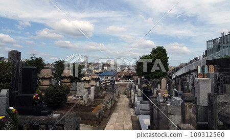 參觀墳墓 5 109312560