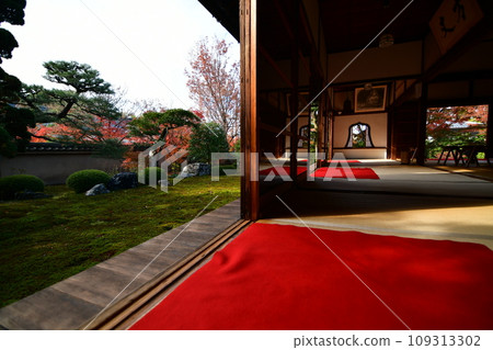 Japanese garden of autumn leaves Japanese garden of autumn leaves 109313302