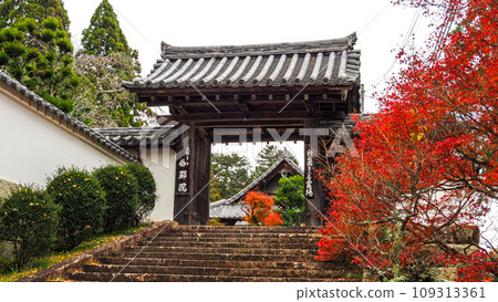 兵庫縣三木市，加耶院的紅葉 109313361