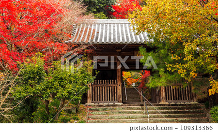 兵庫縣三木市,加耶院的紅葉 兵庫縣三木市,加耶院的紅葉 109313366