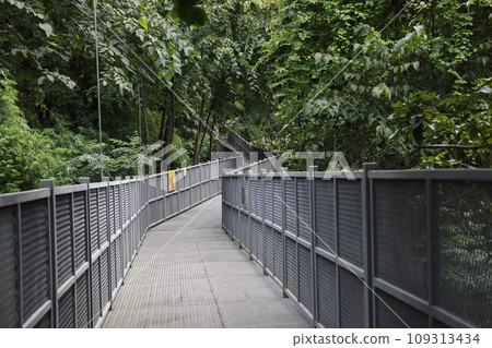 [Thailand] Chiang Mai Canopy Walk 109313434