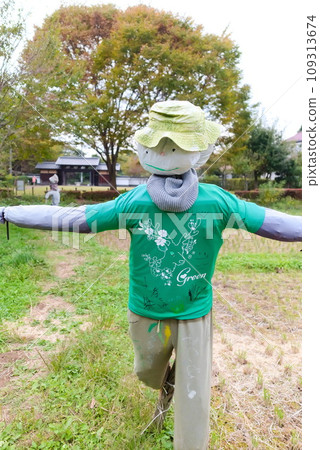 Scarecrow in the field wearing a T-shirt with graffiti on it Scarecrow in the field wearing a T-shirt with graffiti on it 109313674