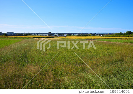 平成之森公園、南門前、川島町犬王高速公路方向的風景 109314001