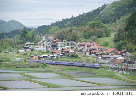 Limited Express Yakumo Series 381 (Super Yakumo Color) Hakubi Line Near Kamiiwami Paddy fields Limited Express Yakumo Series 381 (Super Yakumo Color) Hakubi Line Near Kamiiwami Paddy fields 109314311