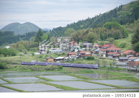 Limited Express Yakumo Series 381 (Super Yakumo Color) Hakubi Line Near Kamiiwami Paddy fields Limited Express Yakumo Series 381 (Super Yakumo Color) Hakubi Line Near Kamiiwami Paddy fields 109314318