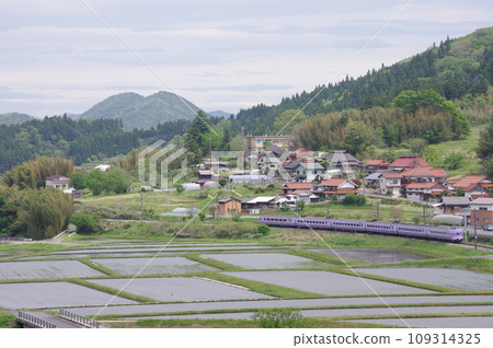 Limited Express Yakumo Series 381 (Super Yakumo Color) Hakubi Line Near Kamiiwami Paddy fields Limited Express Yakumo Series 381 (Super Yakumo Color) Hakubi Line Near Kamiiwami Paddy fields 109314325