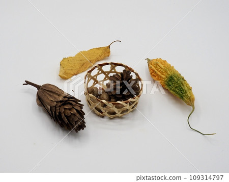 Autumn color 109314797