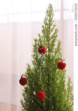 Christmas image with conifer 109315028