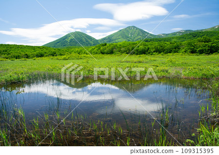 Tashirodaira marsh in summer Tashirodaira marsh in summer 109315395