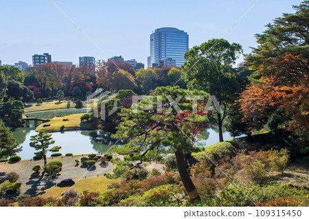 東京六義園,秋天從藤城關眺望,特別的風景區 東京六義園,秋天從藤城關眺望,特別的風景區 109315450