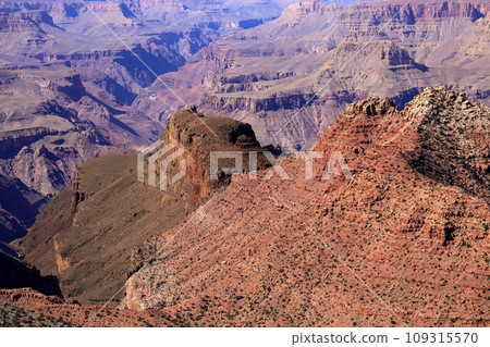 View from the South Rim (South Wall) of the Grand Canyon National Park, USA 109315570