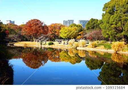 北之丸公園的秋景與秋葉 北之丸公園的秋景與秋葉 109315684