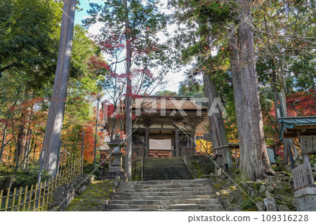 Koto Sanzan Saimyoji Temple Autumn 109316228