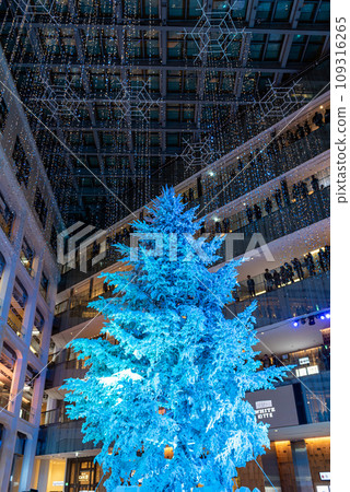 WHITE KITTE Kitte 1F中庭聖誕樹 109316265