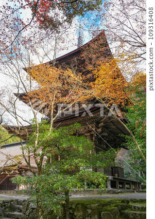 江東三山西名寺秋天 江東三山西名寺秋天 109316408