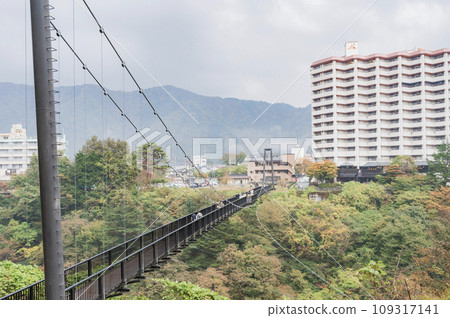 Tochigi Kinu Tateiwa Suspension Bridge 109317141
