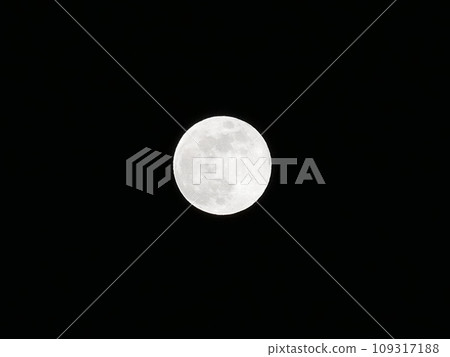 滿月  滿月 109317188